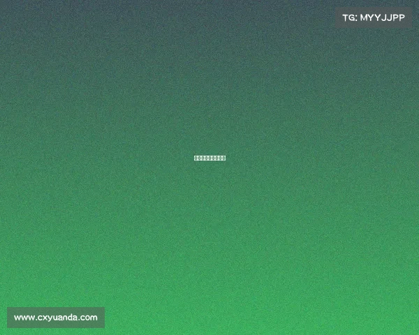 十三届全运会排行榜